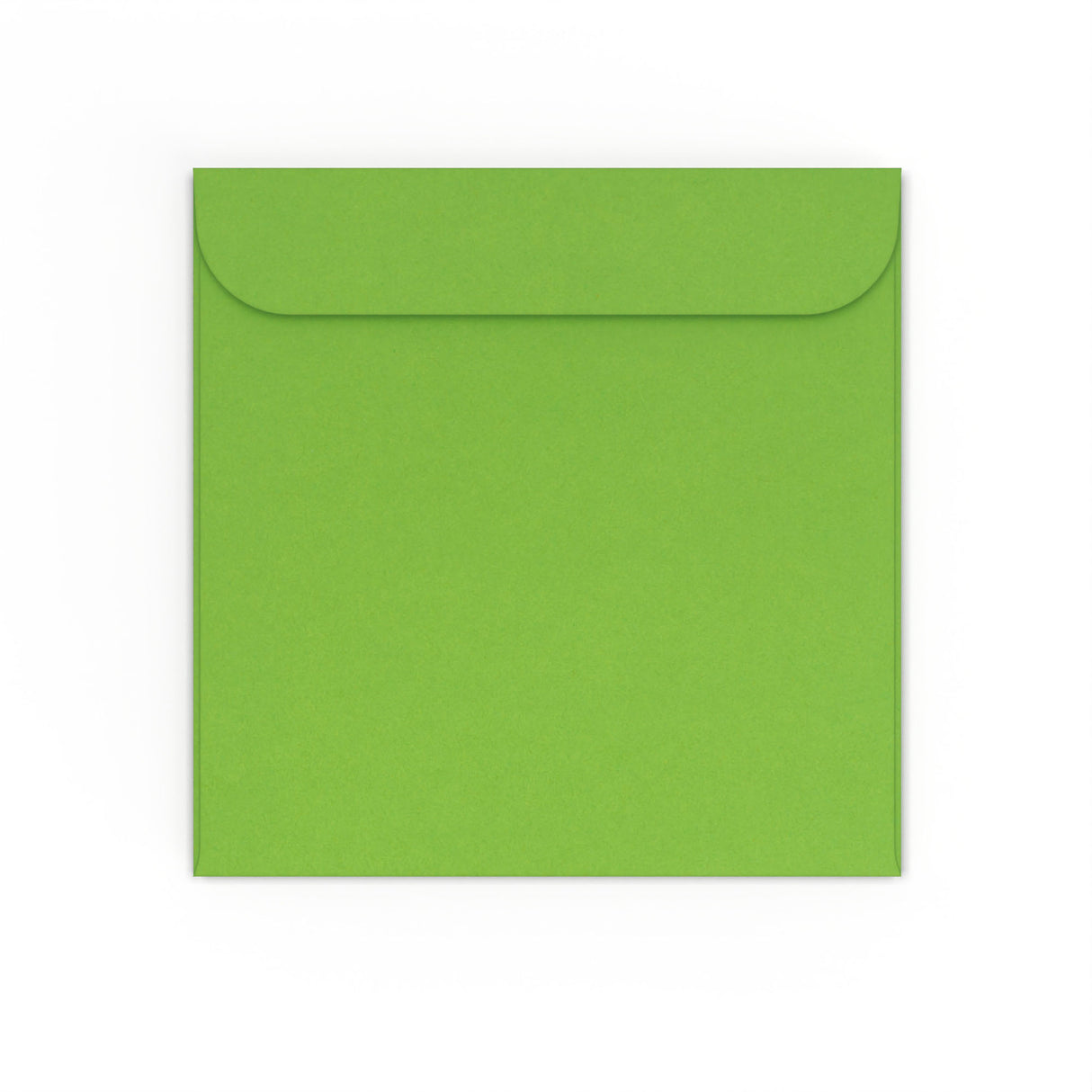 CD-Papierhüllen ohne Fenster