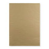 Manila Versandtasche 450x324 mm (C3)