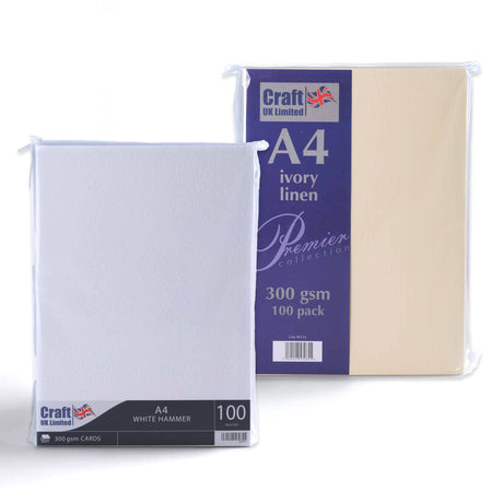 Karte 300 g/m² 100er Pack