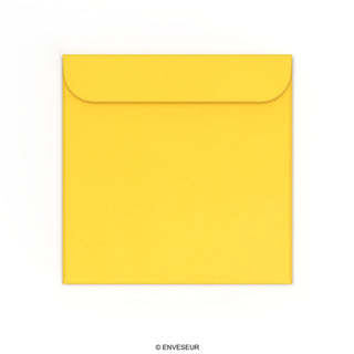 CD-Papierhüllen ohne Fenster