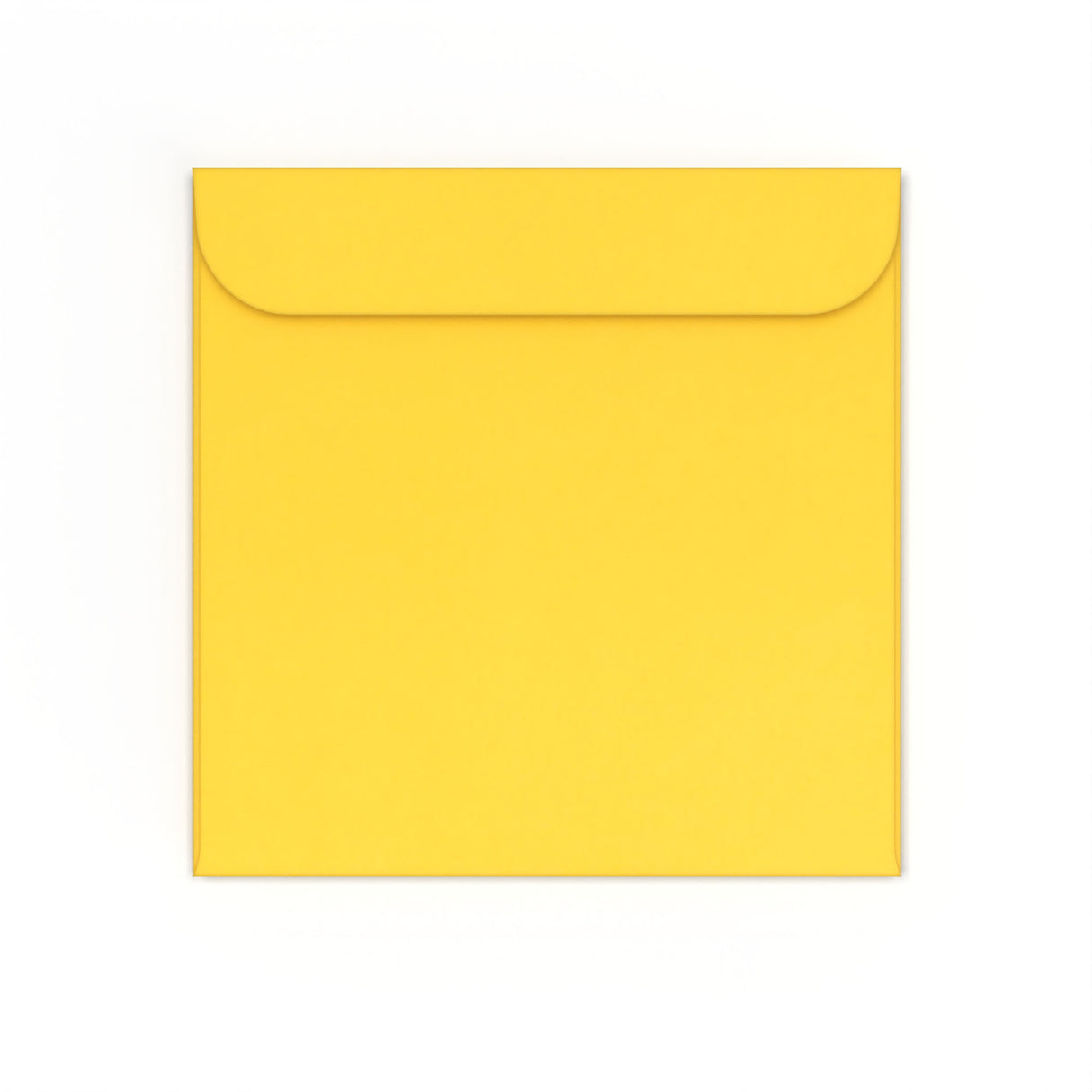 CD-Papierhüllen mit Fenster